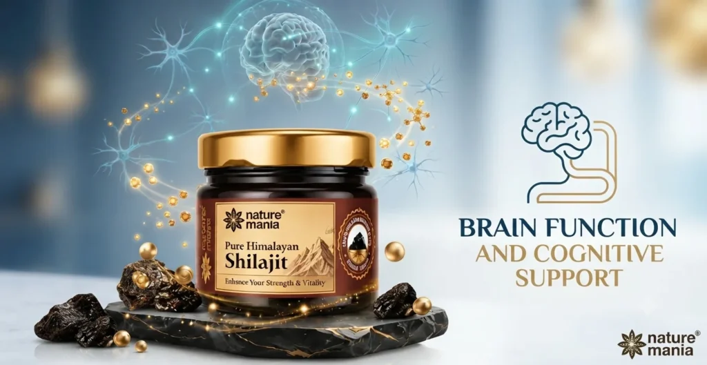 Brain Function Aur Cognitive Support