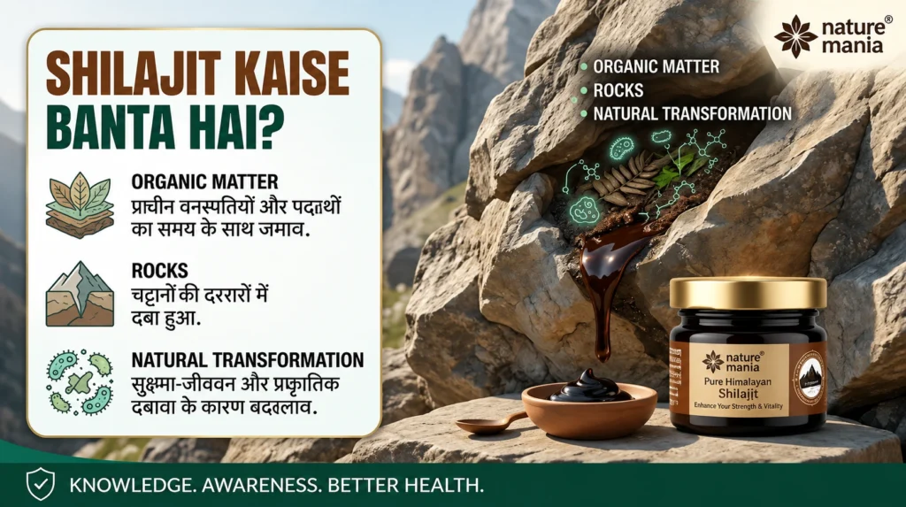 Shilajit Kaise Banta Hai