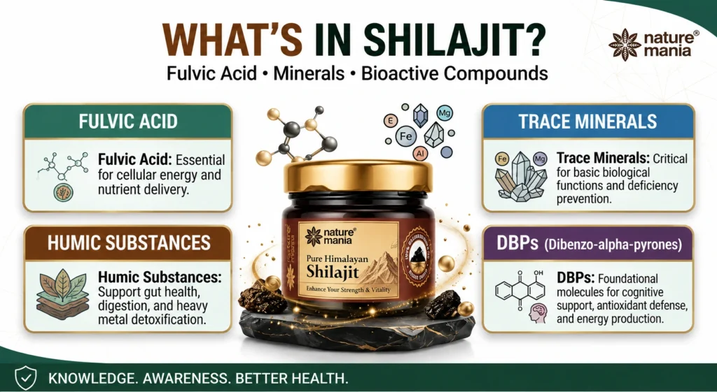 Shilajit Kya Hai